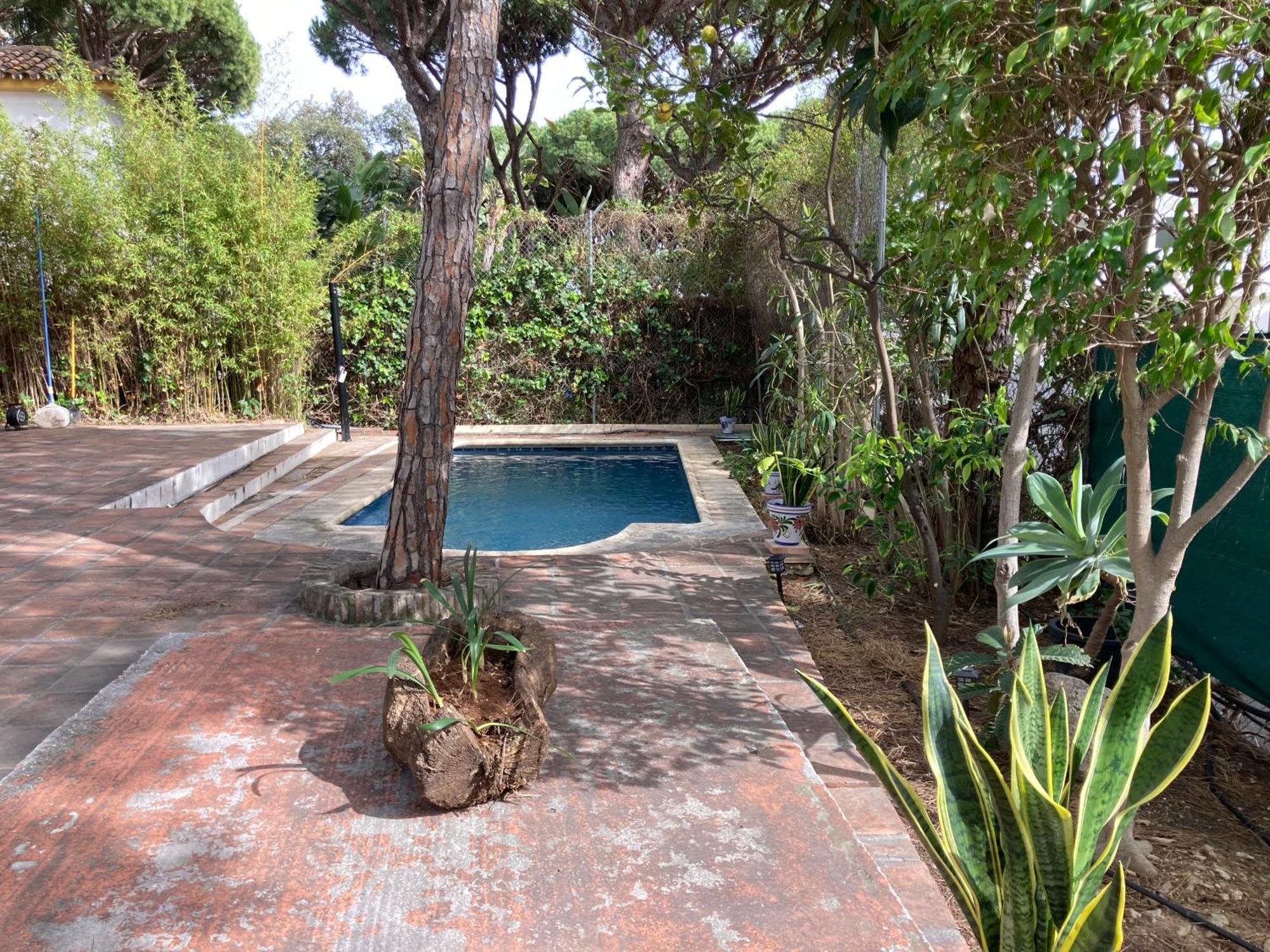 Marbella White Home, Calahonda, By Sol Maestranza Sitio de Calahonda ภายนอก รูปภาพ